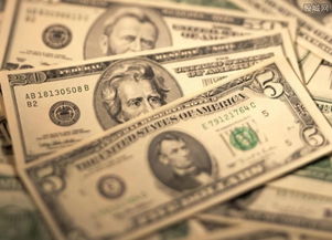 全球货币政策趋向保守背景下的外汇储备小幅下滑 挑战与策略解析